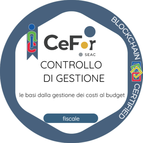 Controllo di Gestione - le basi dalla gestione dei costi al budget